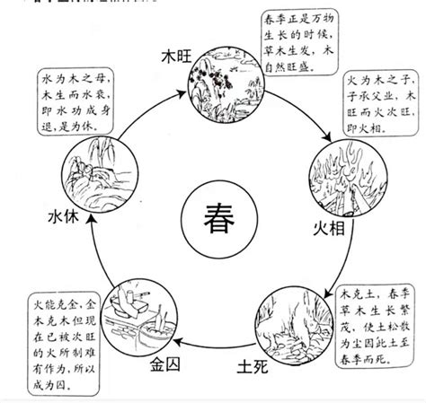 金旺 五行|五行的旺、相、休、囚、死